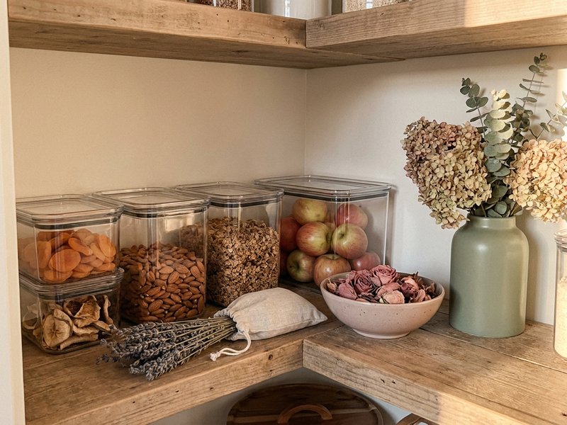 ADHD kitchen organization budget — clear labeled fridge bins on a shelf, lacedopamine.com