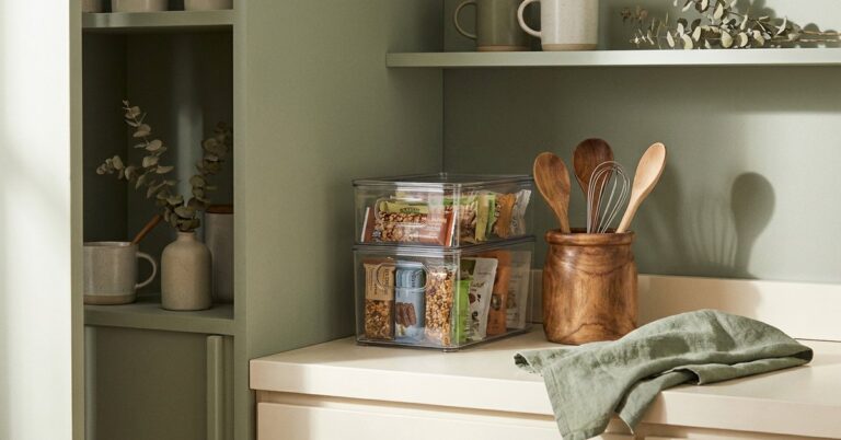 ADHD kitchen organization budget — gentle illustration of a clear, organized budget friendly kitchen, lacedopamine.com