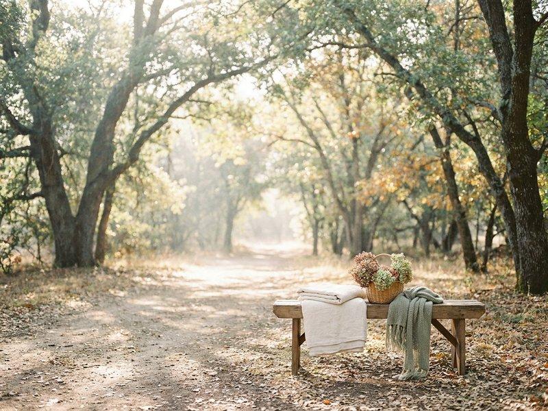 gentle movement ideas ADHD — a short morning walk in soft light, lacedopamine.com
