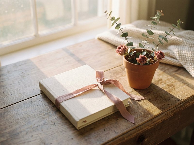 shadow work prompts ADHD — a closed journal resting on a sunlit table, lacedopamine.com