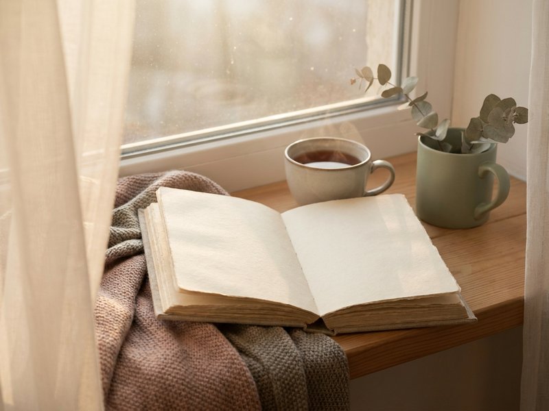 shadow work prompts ADHD — a journal open on a quiet windowsill, lacedopamine.com