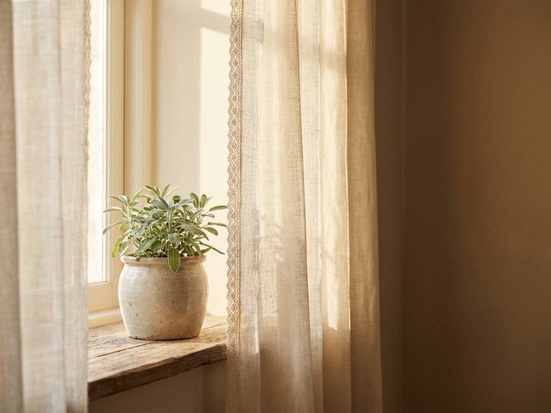 first year with ADHD diagnosis — quiet light through a window, a moment of reflection, lacedopamine.com